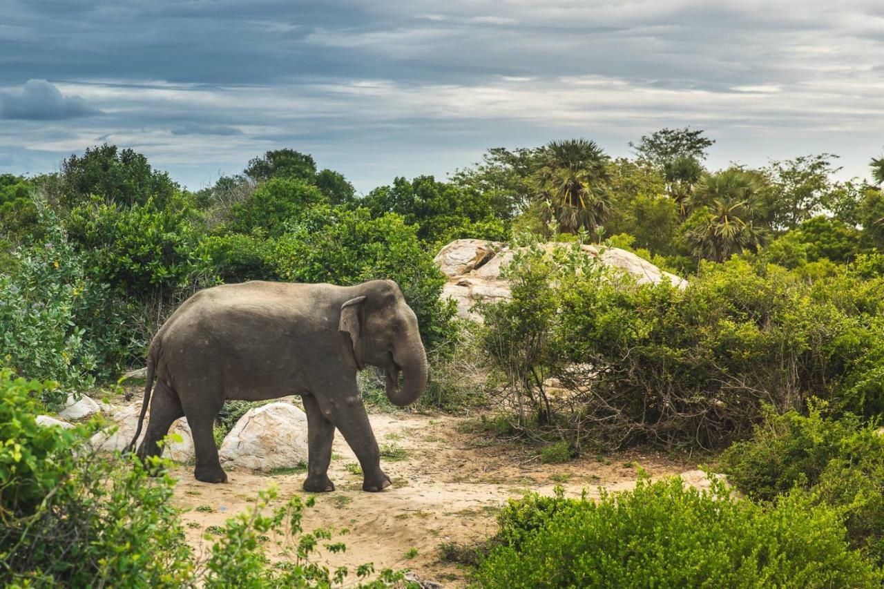 ホテル Babar Point アルガムベイ エクステリア 写真